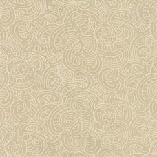 Ponga Koru Beige